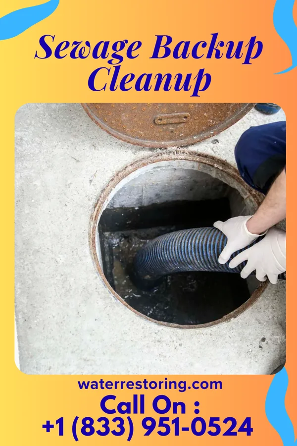 Sewage Backup Cleanup in O'Brien, TX